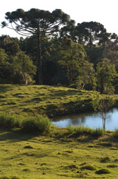 Gramado, mountains